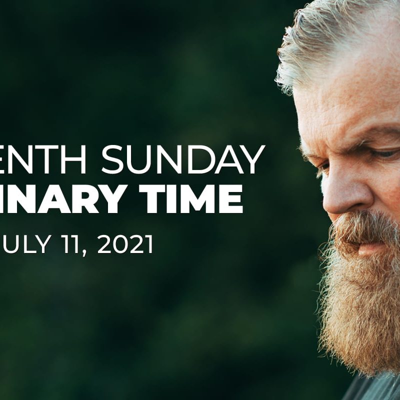 Fifteenth Sunday in Ordinary Time