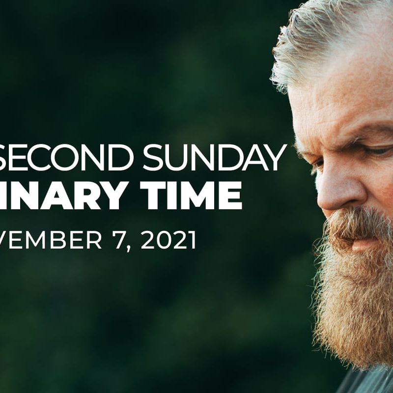 Thirty-Second Sunday in Ordinary Time