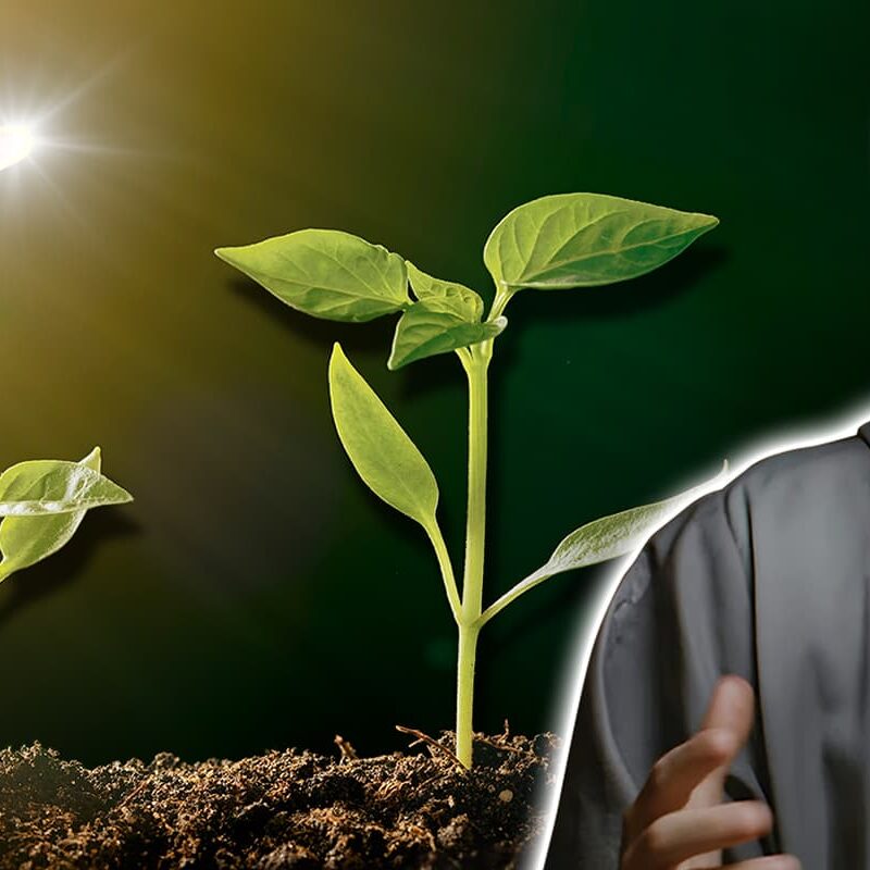 The Resourcefulness of God