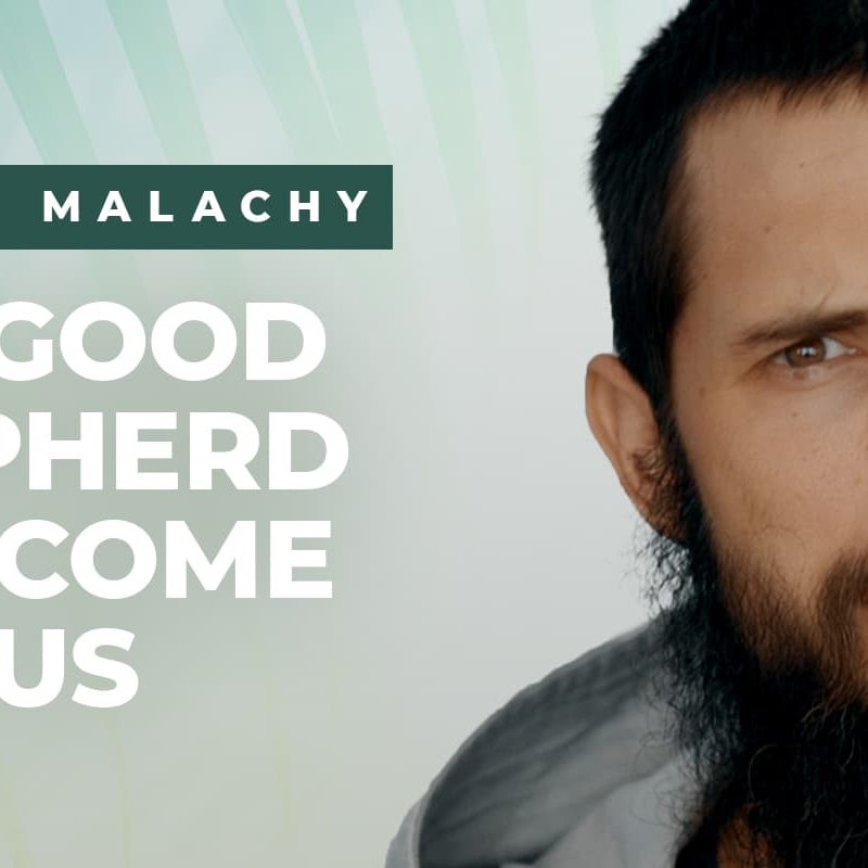 The Good Shepherd has Come for Us